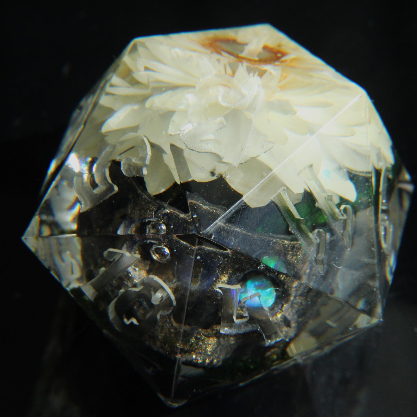Skull Terrarium Single 32mm Chonk D20 Die