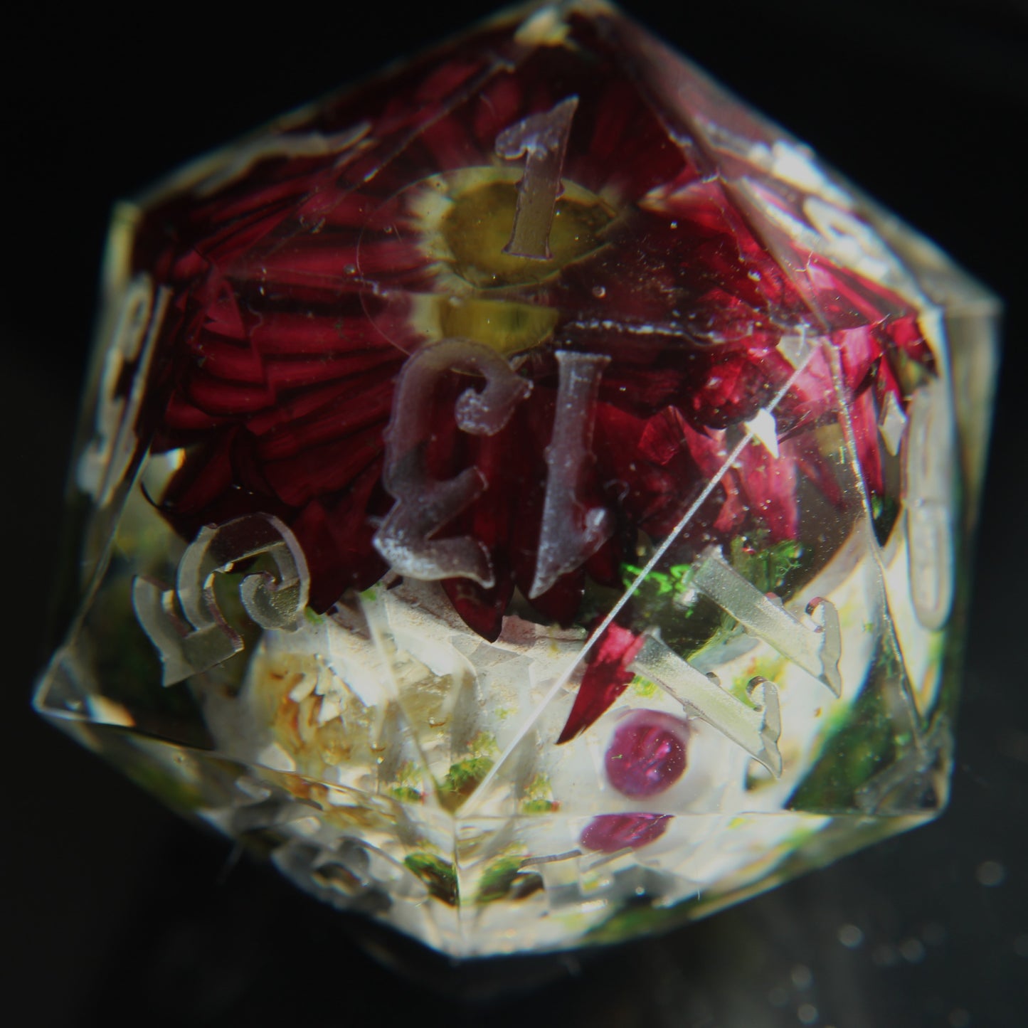 Skull Terrarium Single 32mm Chonk D20 Die
