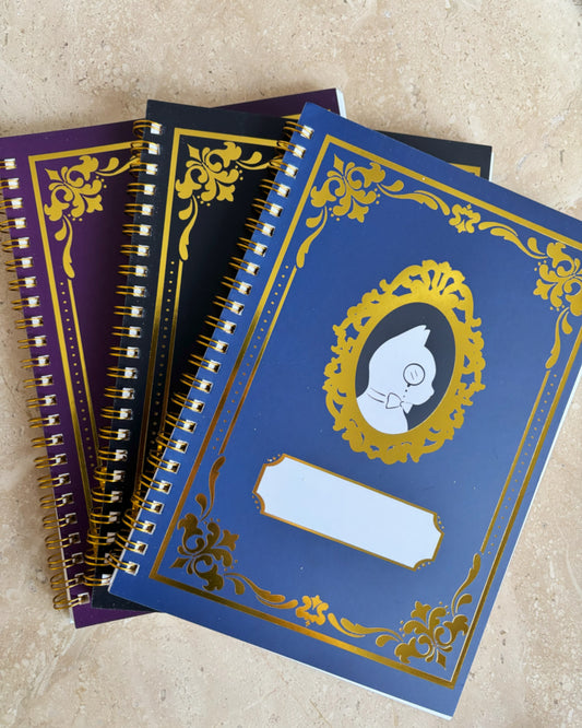 Reusable Sticker Album