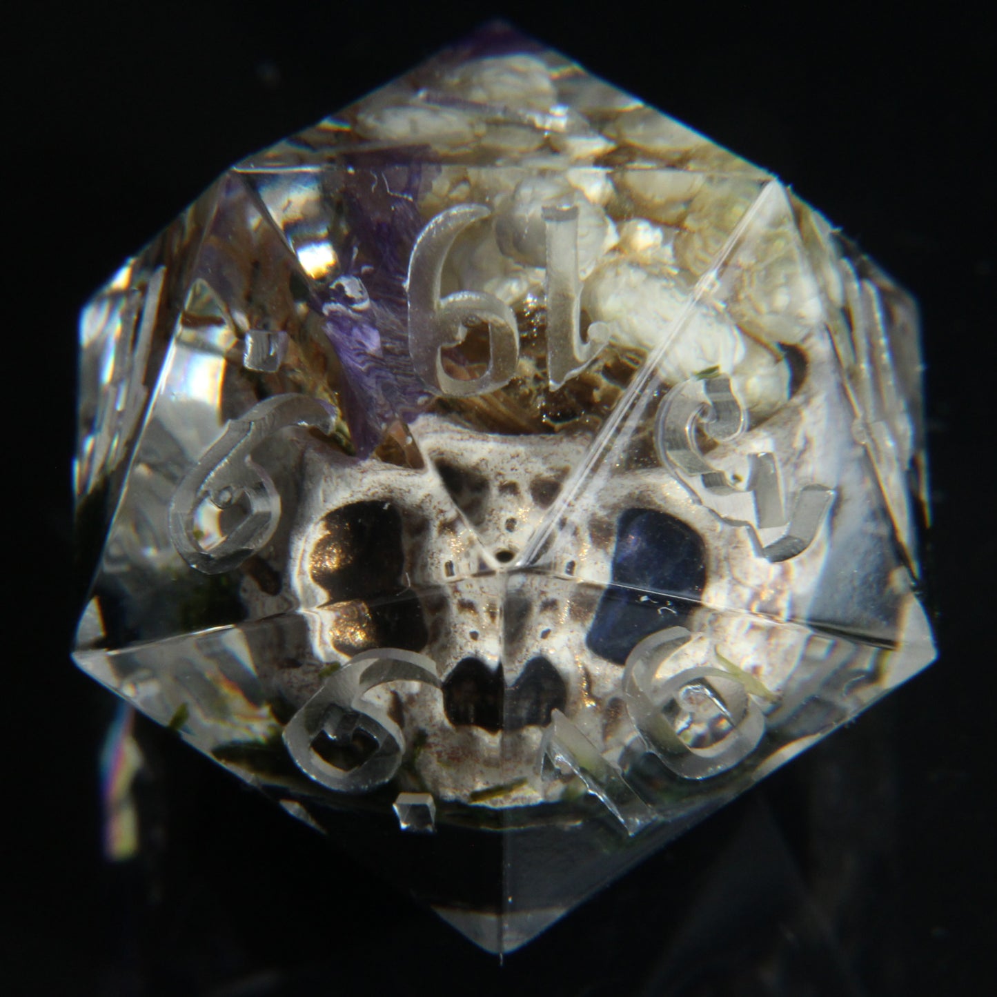 Skull Terrarium Single 32mm Chonk D20 Die