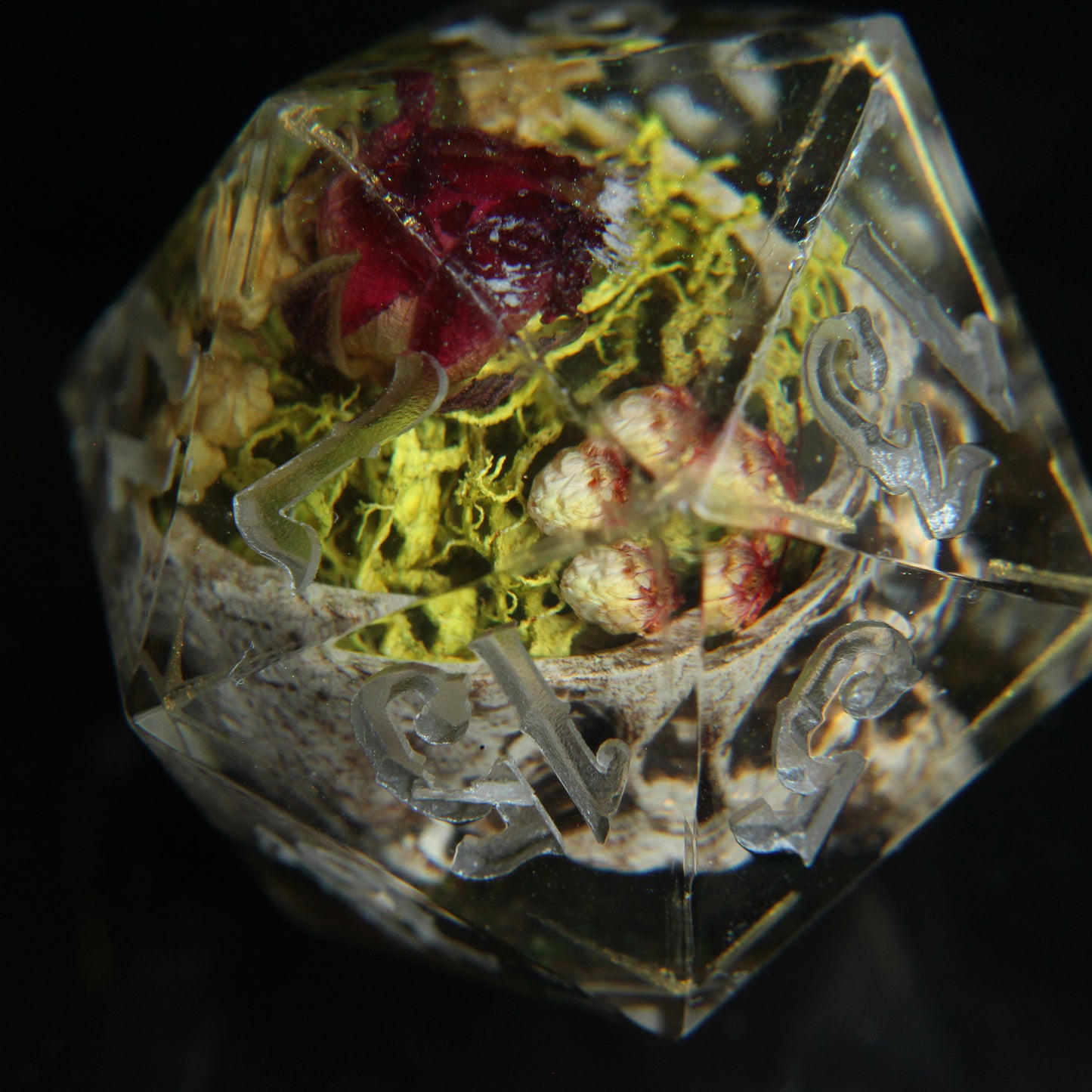 Skull Terrarium Single 32mm Chonk D20 Die