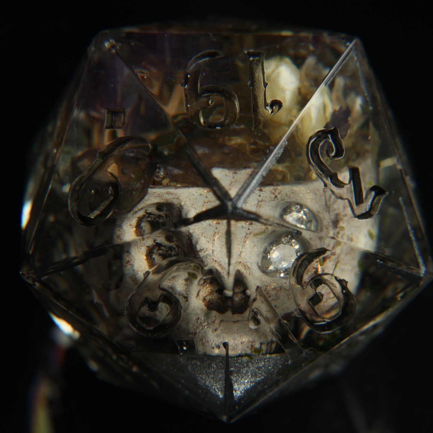 Skull Terrarium Single 32mm Chonk D20 Die