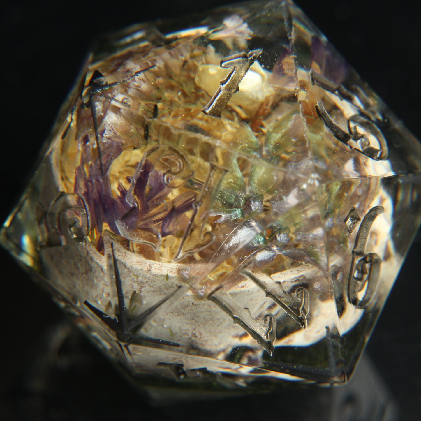 Skull Terrarium Single 32mm Chonk D20 Die